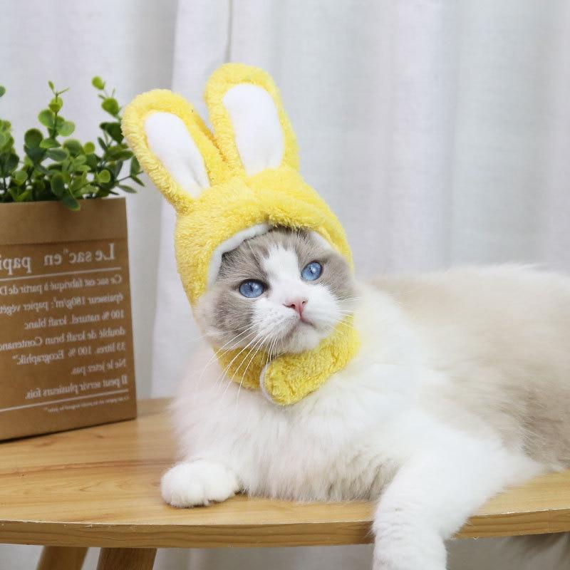 RabbitHat™ - Accessoire de déguisement pour chat - Chatoolx